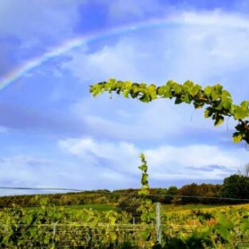 Coteaux des Avelines