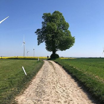 L’Arbre de la Bruyère – Villers-Perwins