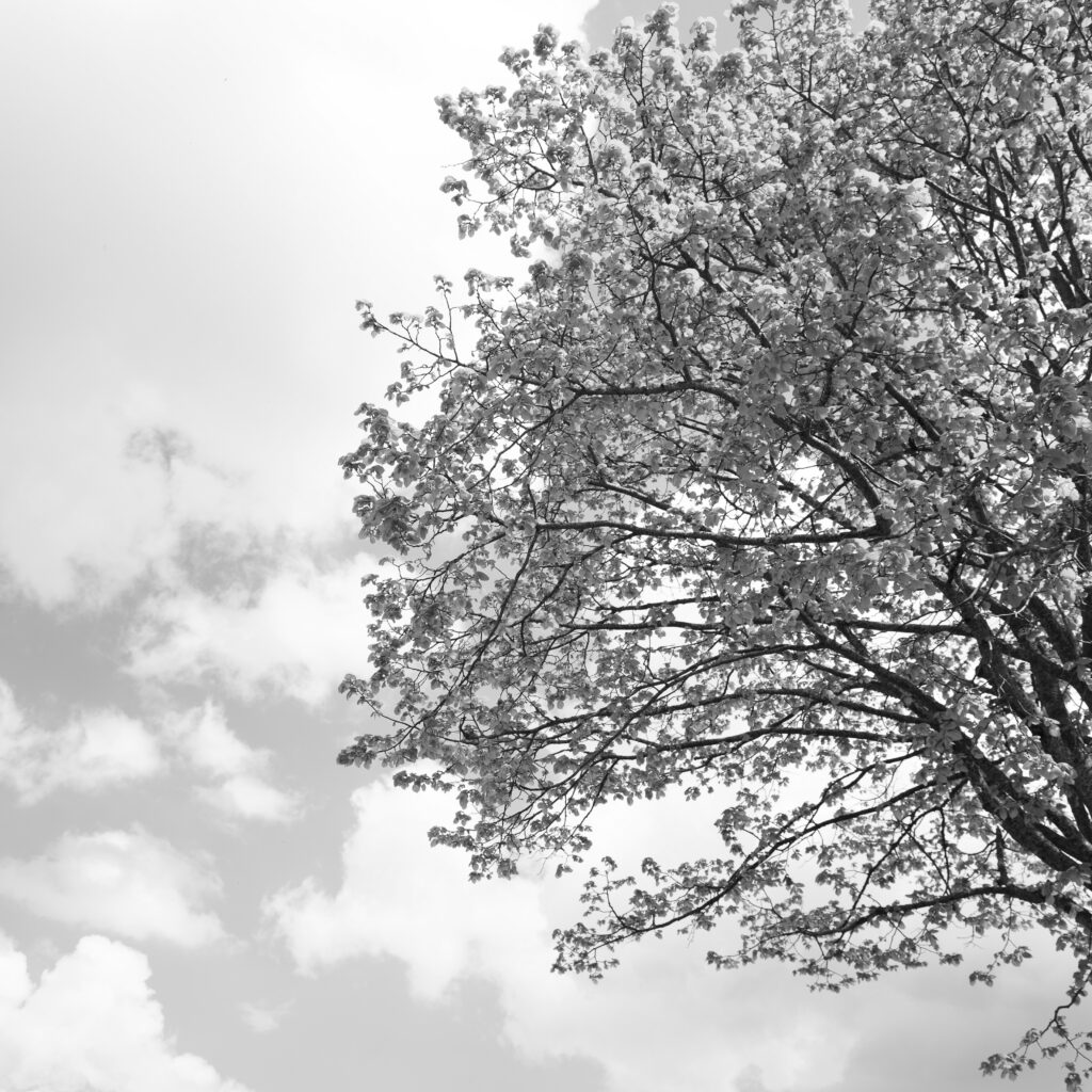 Petits galeries - carré - gris