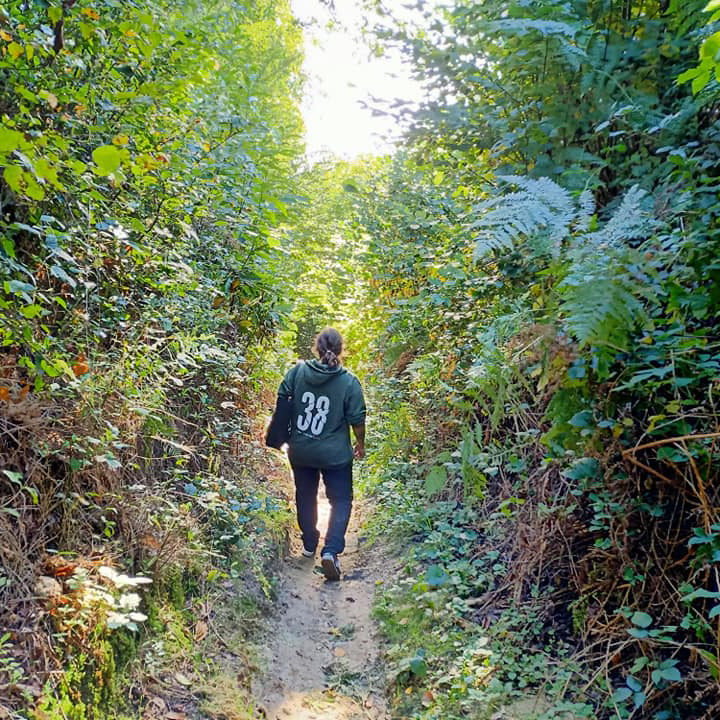 les balades - carré