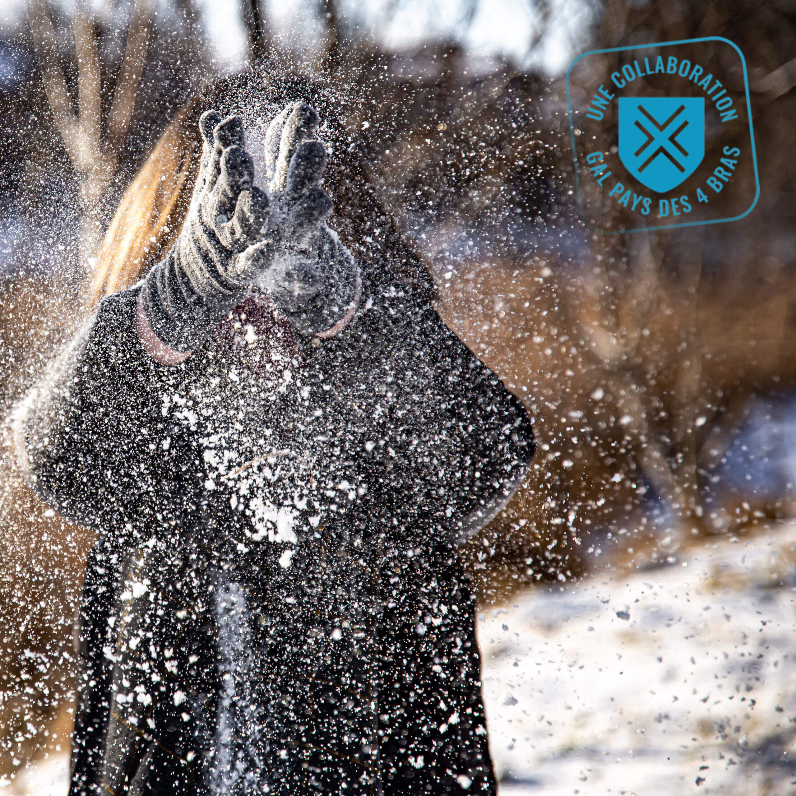 Balade contée à Wayaux - nouvelle date