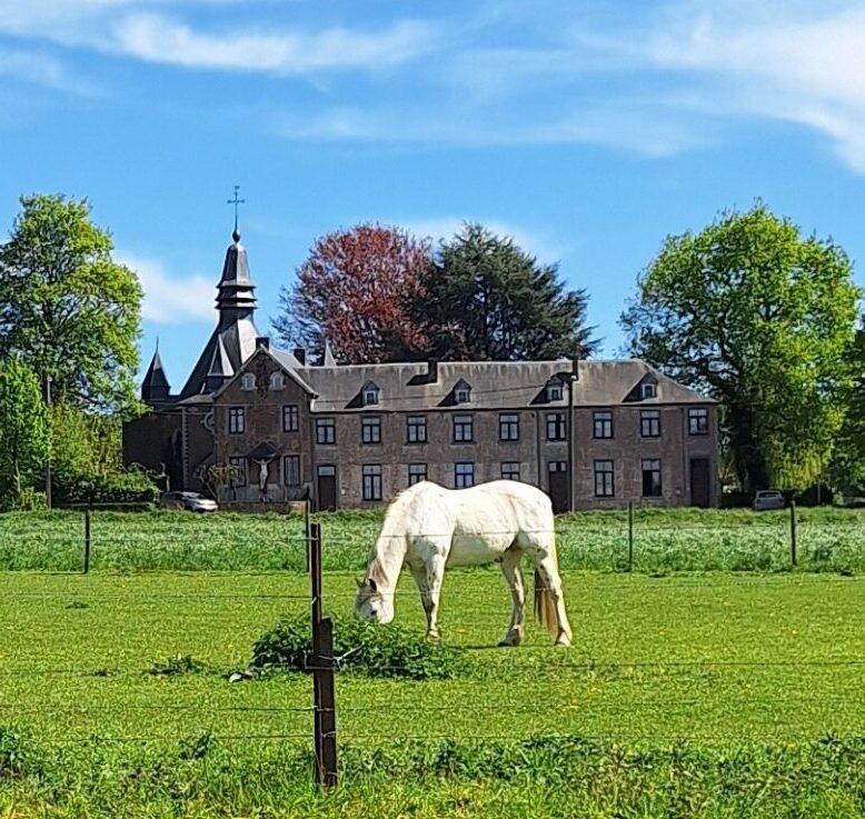 La Drève en fête à Loupoigne