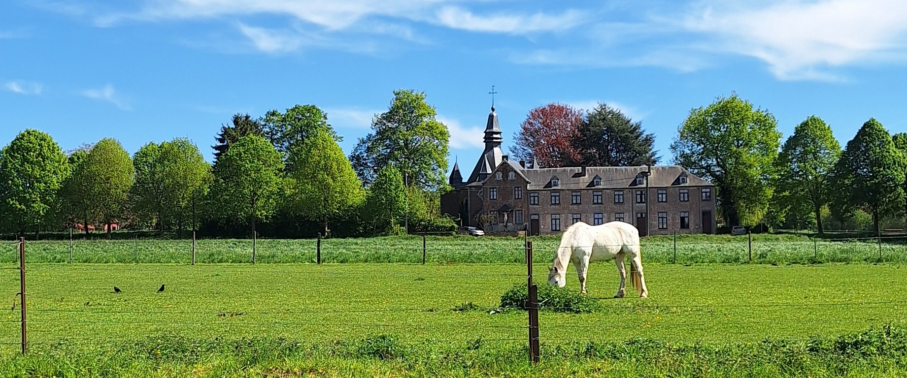 La Drève en fête à Loupoigne