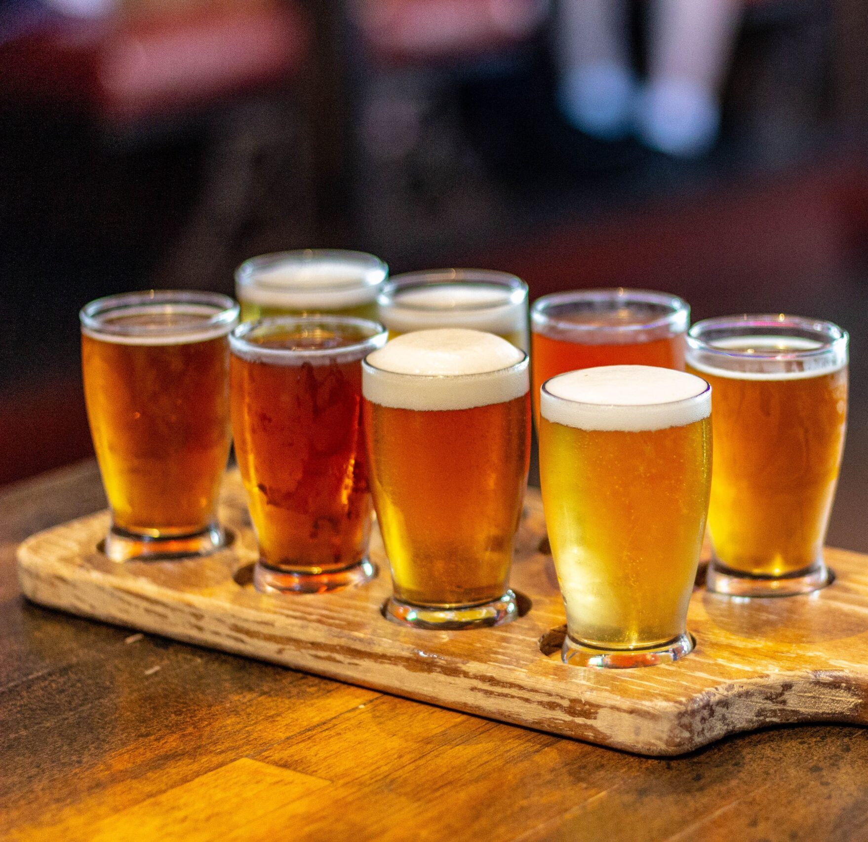 Atelier « Choisir sa bière : par où commencer ? » - adultes